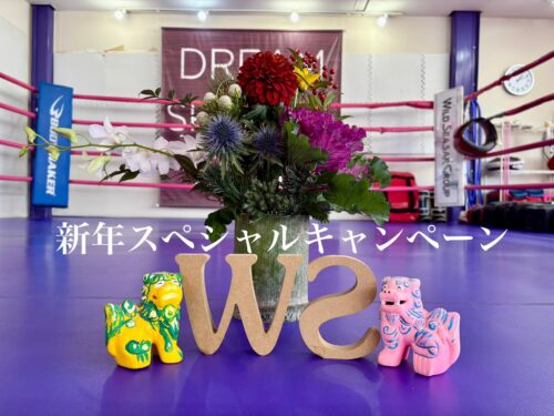 2026年新年特別キャンペーン!