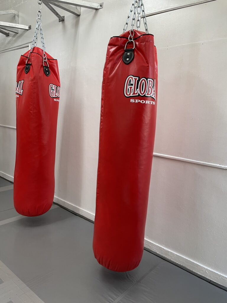 ワイルドシーサー沖縄・石垣ジムの内観 - キックボクシングジム