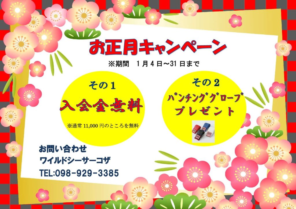 お正月キャンペーン