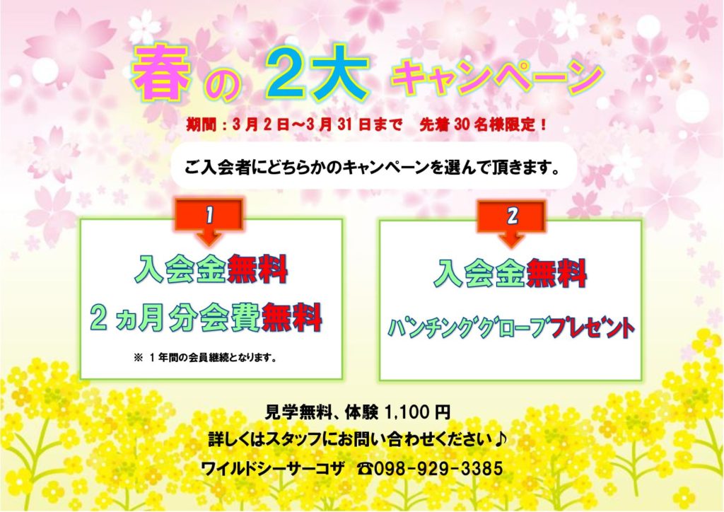 3月キャンペーン