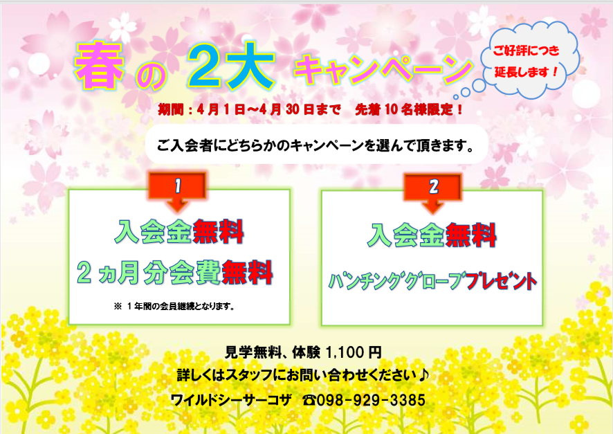 4月キャンペーン