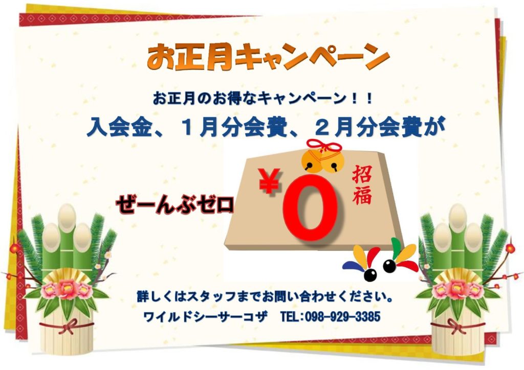 お正月キャンペーン
