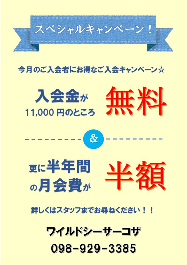 スペシャルキャンペーン！