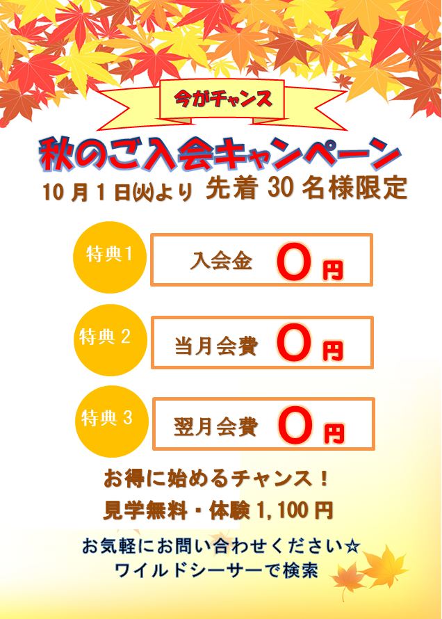 無料で始めるキックボクシングキャンペーン!!